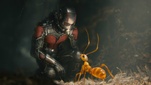 'Ant-Man' thrills, but leaves only ant-sized impact